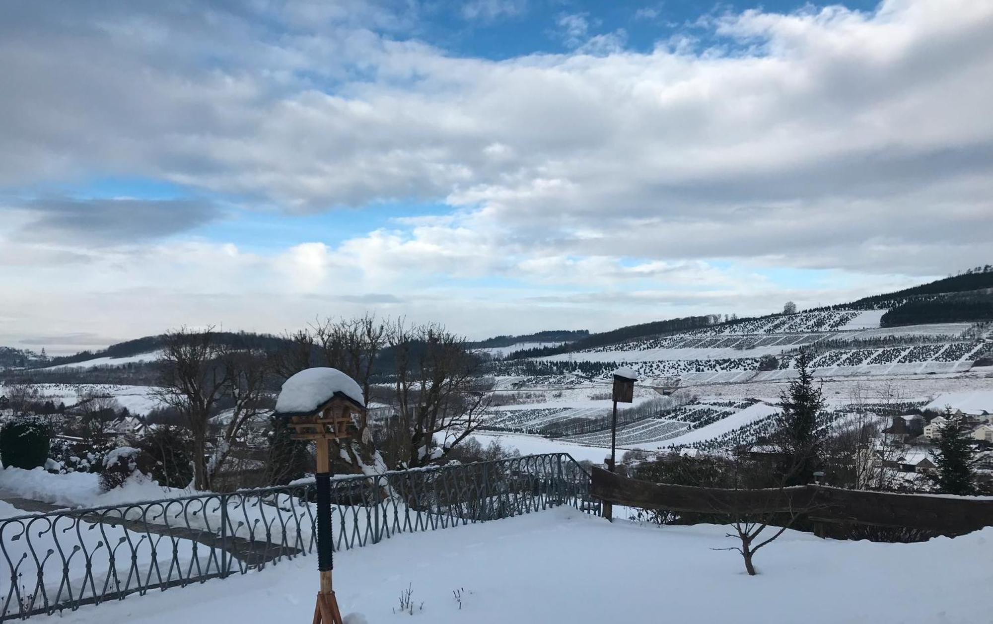 Fewo Oase Ruhrtalblick Bestwig Buitenkant foto